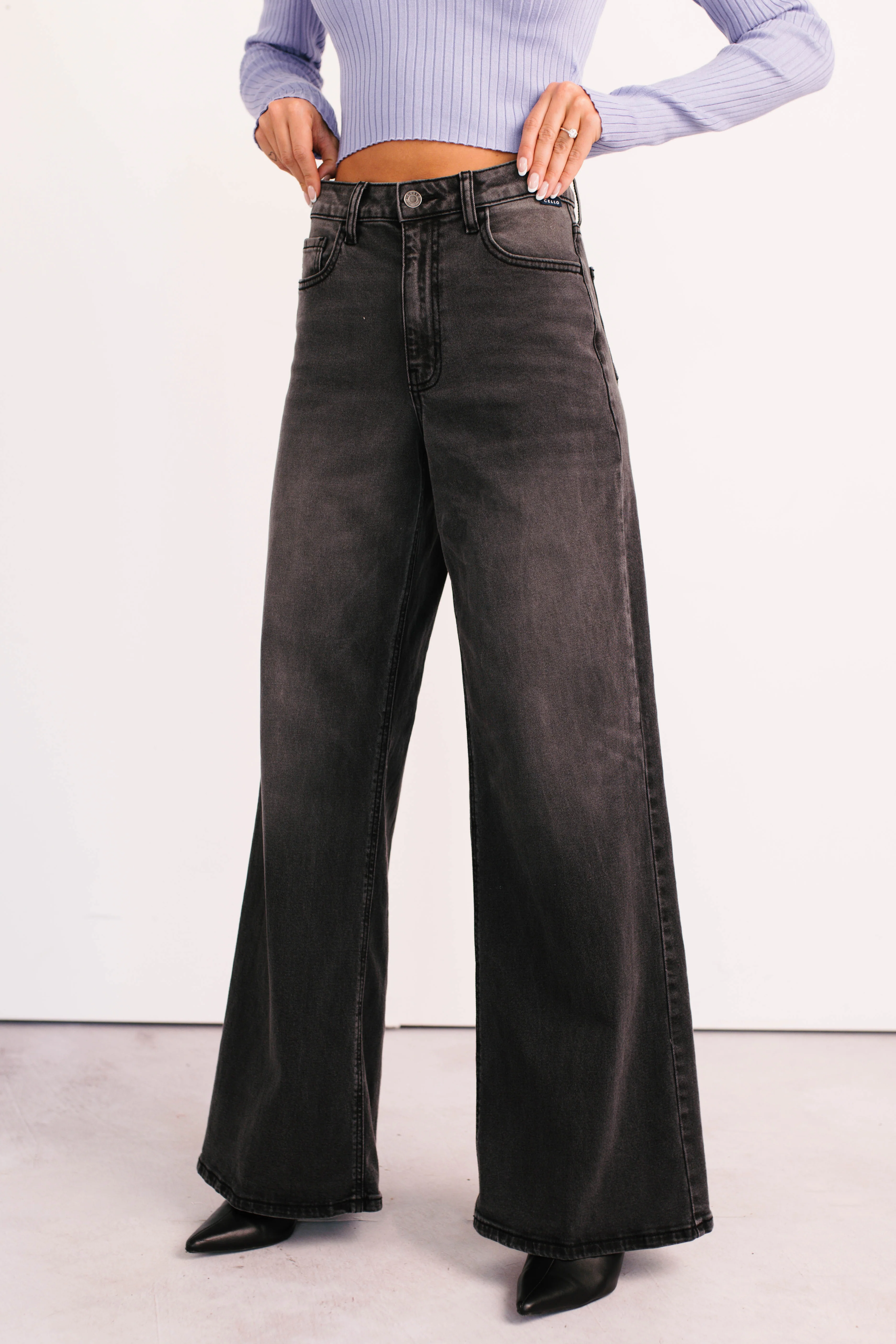 Bane High Rise Wide Leg Cello Jeans (Grey) - Image 8